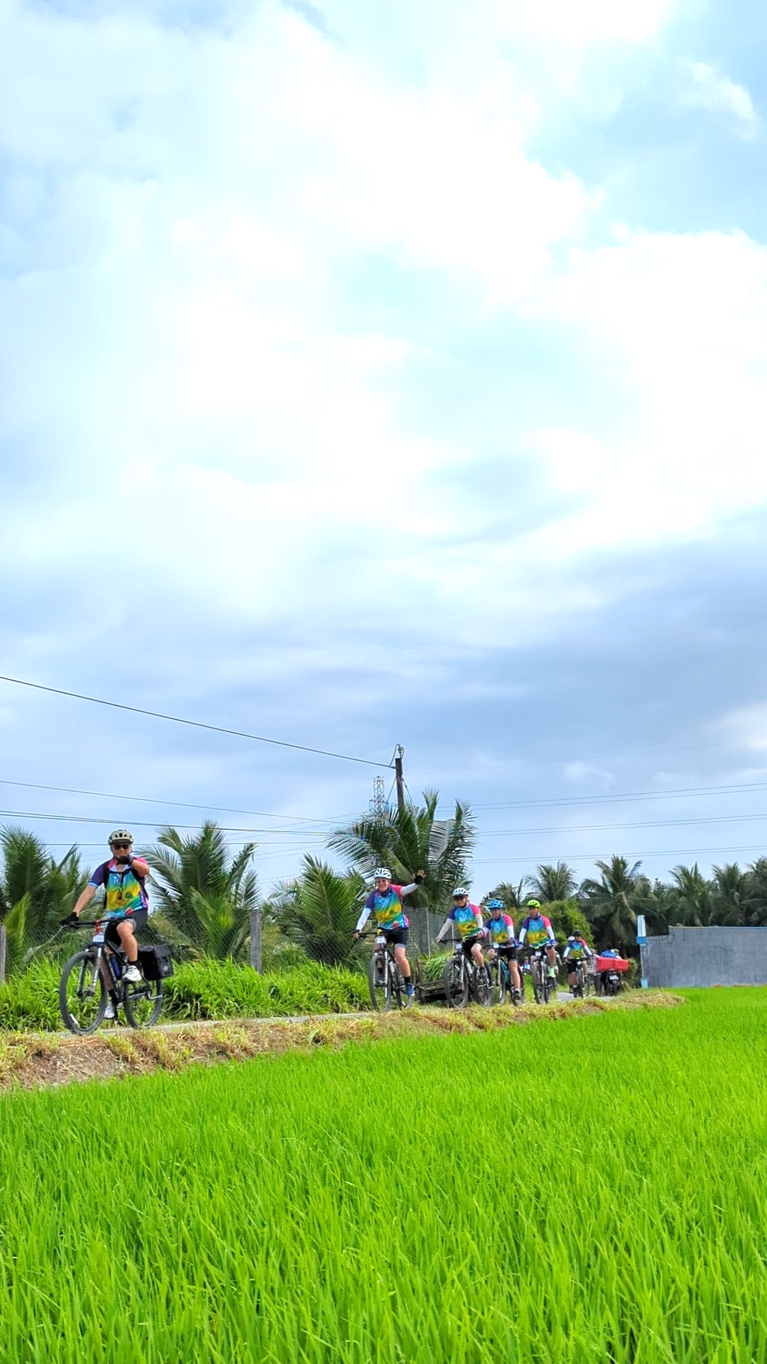 Cyclist riding along a quiet rural road surrounded by rice fields and palm trees in the Mekong Delta, Vietnam.
